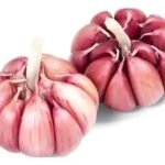 Alho Roxo Graúdo